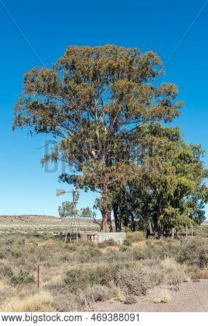 A Landscape, With A Windmill, Dam And Large Trees, On The Road Between Loxton And Fraserburg In The 