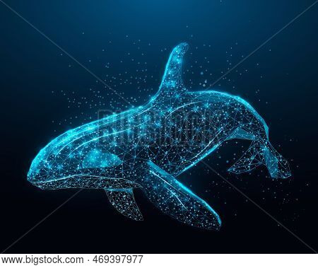 Killer Whale. Wireframe Glowing Low Poly Orca Whale. Design On Dark Blue Background. Abstract Futuri