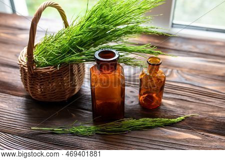 Equisetum, Horsetail, Snake Grass, Oil For Cosmetology. Puzzlegrass, Candock Extract For Alternative