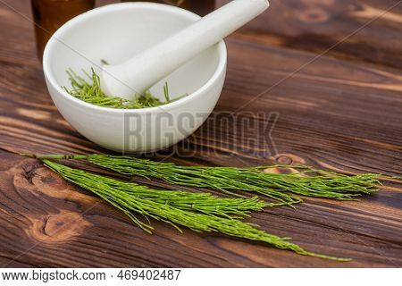Fresh Horsetail In A Pharmacy Mortar With A Pestle On A Wooden Table. Collection Of Medicinal Herbs 