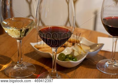 Tasting Of Different Rioja Wines, Visit Of Winery Cellars, Rioja Wine Making Region, Spain