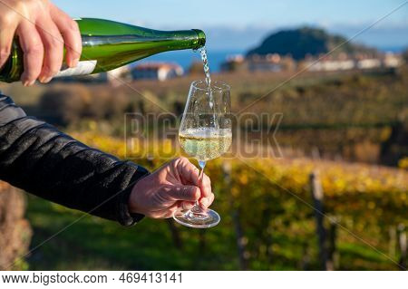 Pouring Of Txakoli Or Chacolí Slightly Sparkling Very Dry White Wine Produced In Spanish Basque Coun