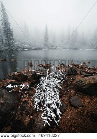 Vertical Photo Of Peaceful And Tranquil Frozen Lake With Fallen Tree On The Shore In Winter Time. Sn
