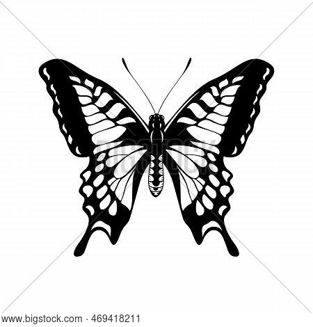 Black And White Butterfly - Butterfly Silhouette Vector
