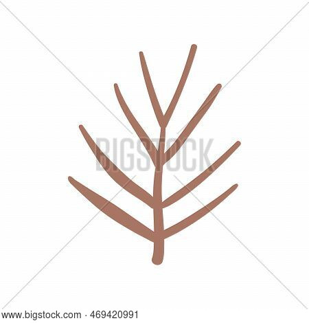Christmas Tree Vector Branch, Holiday Decoration, And Winter Symbols Are Isolated On White Backgroun