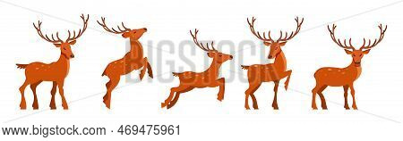 Brown Deer With Antlers And Slender Legs In Standing And Jumping Pose Vector Set