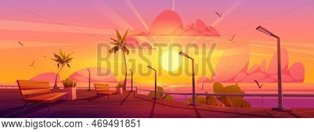 City With Embankment On Sea Beach. Summer Landscape Of Seafront With Benches, Palm Trees, Street Lig