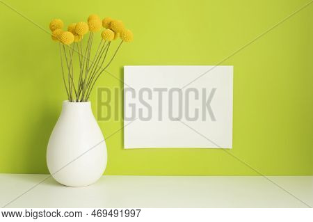 Frontal View Of A Bunch Of Yellow Craspedia Flowers In The White Vase On White Surface, Horizontal L