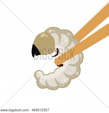 Edible Larva. Eating Caterpillar With Chopsticks. Asian Snack And Street Fast Food. Source Of Insect