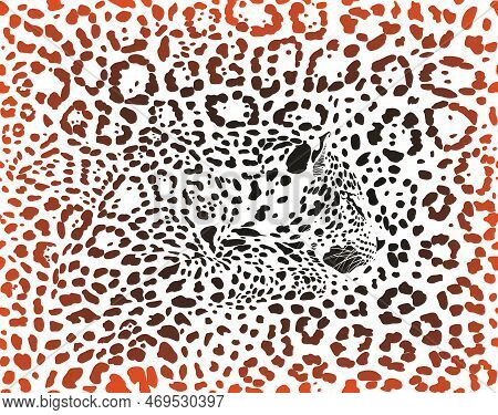 Color Seamless Background Jaguars, Latin Panthera Onca