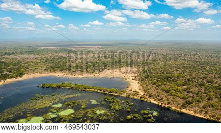 Top View Of The Lake And The Rainforest Against The Blue Sky. Kumana National Park. Tropical Landsca
