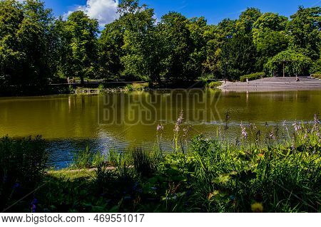 Beautiful Summer Landscape With A Pond Saski Garden Warsaw Poland Green Trees Warm Day