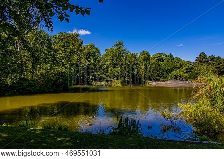 Beautiful Summer Landscape With A Pond Saski Garden Warsaw Poland Green Trees Warm Day