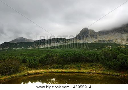 Mountain Views