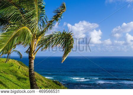 Beautiful Scene Of The Ocean Framed By A Palm Tree And The Side Of A Hill