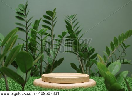 Empty Table Top Wood Counter Podium On Grass Tropic Forest Jungle Plant Blurred Dark Green Backgroun