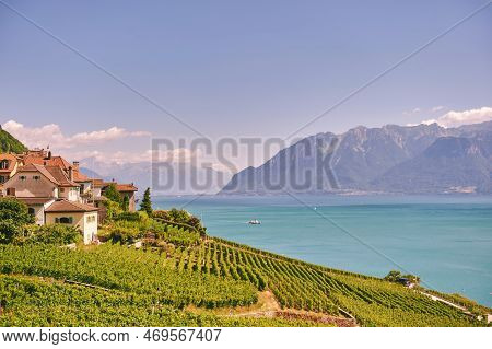 Vineyard Terraces At Lake Geneva In Summer, Lavaux, Vaud, Switzerland