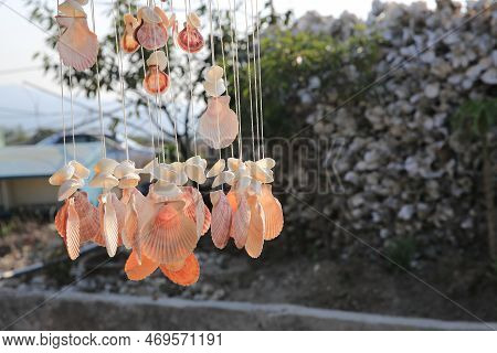 9 March 2013 Fish Maws Hanging In A Local Market In Lau Fau Shan
