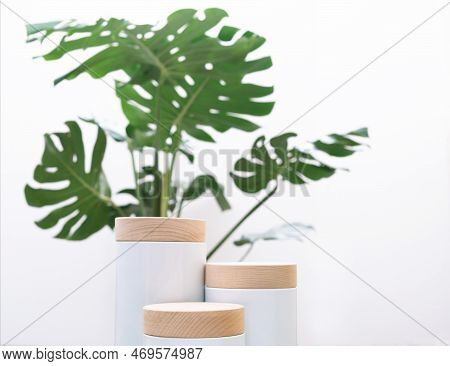 Empty Wood Podium On Green Grass Monstera Tropical Forest Plant On White Background.cosmetics And Mo