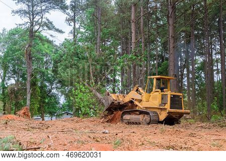Contractor Used Tractor Skid Steers To Remove Trees From Property During Construction Process In Ord
