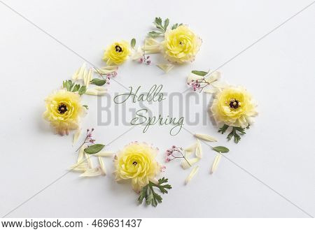 Spring Background - Spring Composition Of Yellow Flower And The Inscription Hello Spring On A White 
