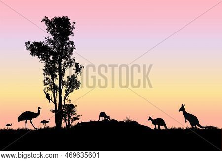 Gum Tree With Kangaroos Emus And Kookaburra In Tree And Sunset Background . Australian Scene