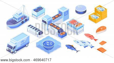 Fish Industry Set. Collection Of Graphic Elements For Website. Healthy Fat And Natural Meat, Protein