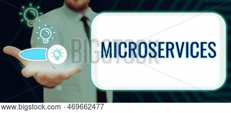 Text Sign Showing Microservices. Conceptual Photo Software Development Technique Building Single Fun