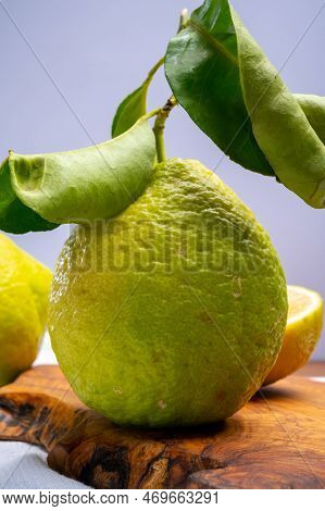 Variety Of Citrus Fruits, Bergamot And Lemon Citron Cedrate Or Citrus Medica, Large Fragrant Citrus