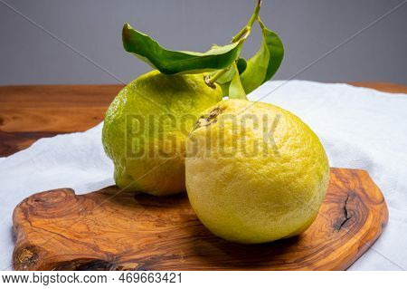 Lemon Citron Cedrate Or Citrus Medica, Large Fragrant Citrus Fruit With Thick Rind
