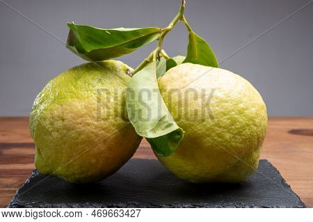 Lemon Citron Cedrate Or Citrus Medica, Large Fragrant Citrus Fruit With Thick Rind