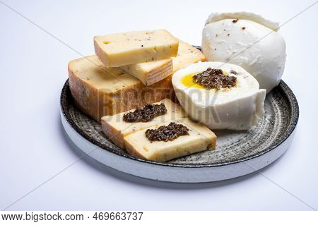 Gourmet Cheeses, Italian Taleggio And Mozzarella Chesses With Filling From Black Truffles Mushrooms