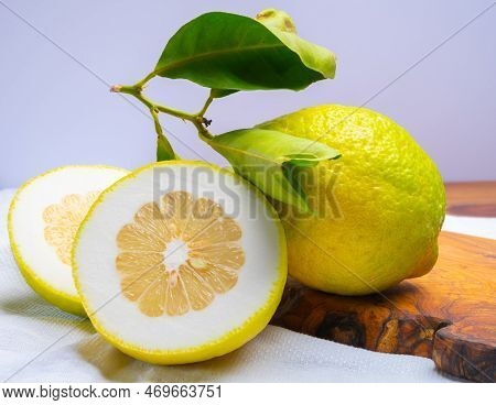 Lemon Citron Cedrate Or Citrus Medica, Large Fragrant Citrus Fruit With Thick Rind