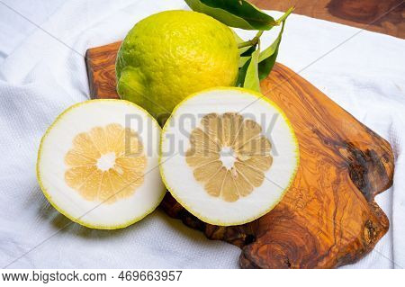 Lemon Citron Cedrate Or Citrus Medica, Large Fragrant Citrus Fruit With Thick Rind