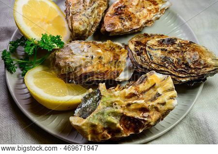 Eating Of Fresh Big Raw Zeeuwse Creuse Dutch Oysters From Zeeland, Netherlands