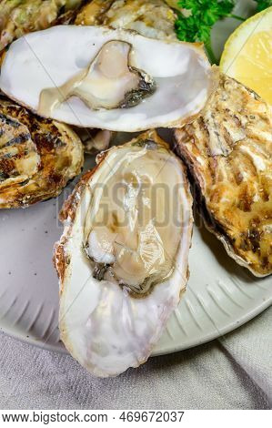 Eating Of Fresh Big Raw Zeeuwse Creuse Dutch Oysters From Zeeland, Netherlands