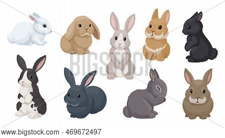 Vector Set Of Cute Rabbits In Cartoon Style. Decorative Bunnies In Different Poses And Colors. Isola