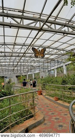 Vandalur,tamilnadu,india-october 04 2022: Inside View Of Beautiful Butterfly Park Of Arignar Anna Zo