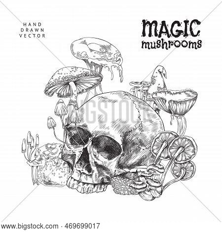 Magic Mushroom Card With Human Skull Overgrown With Toadstools Engraving Vector.