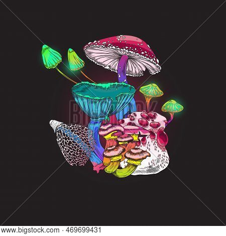 Glowing Magic Toadstools And Mushrooms Plants Vector Illustration Isolated.