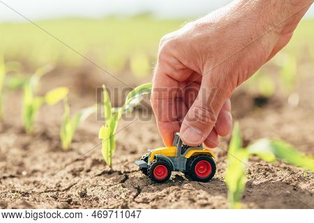 Male Farmer Hand Holding Miniature Die Cast Tractor Model Toy In Corn Field, Close Up With Selective