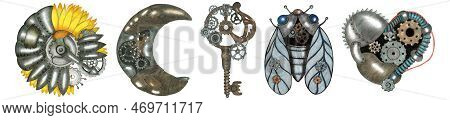 Set Of Steampunk Elements Drawn By Color Pencil.