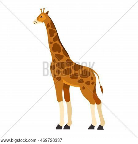 Vector Wild African Giraffe Illustration. Wildlife And Long Neck Fauna, Isolated Mammal. Safari Sign