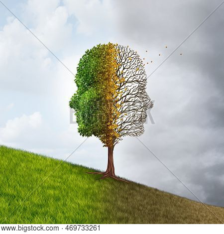 Cognitive Decline And Memory Loss Or  Dementia As An Alzheimer's Disease Or Cognitive Impairment Due