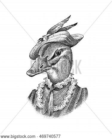 Duck Character In A Hat. Fashionable Lady Or Dame. Hand Drawn Bird. Engraved Old Monochrome Sketch.