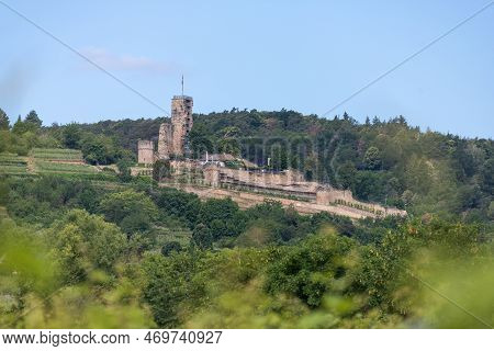 View Over The Vineyards To Wachtenburg Castle Ruins