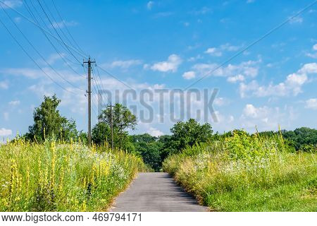 Beautiful Empty Asphalt Road In Countryside On Colored Background