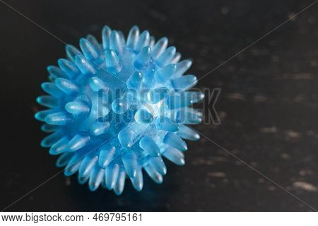Small  Plastic Rehabilitation Ball For Massage