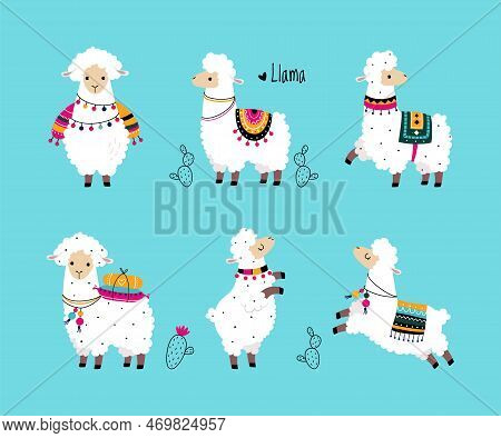 Pretty Wolly Llama Or Alpaca Wearing Knitted Blanket In Different Pose On Blue Background Vector Set