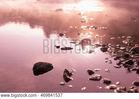 Warmy Pink Sunrise Sunlight On Quiet Water Surface Of Lake, Haze, Golden Ripple Sun Glares, Blinks, 